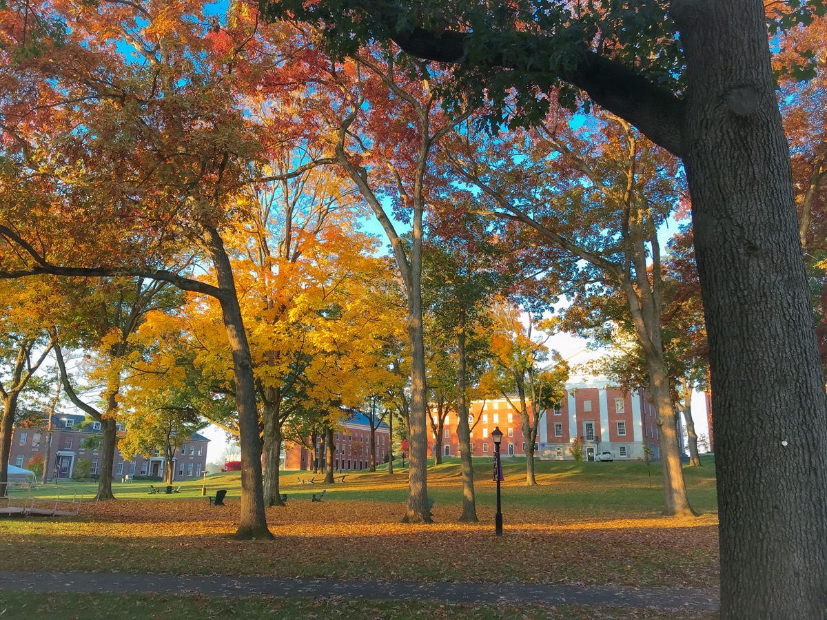 First Year Quad (2020)